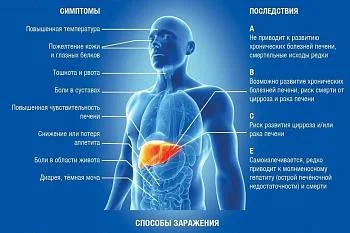C 13 по 19 марта — неделя по борьбе с заражением и распространением хронического вирусного гепатита С.
